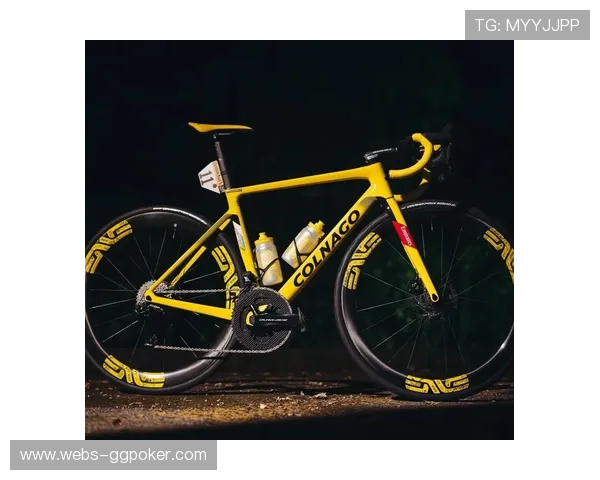 环法自行车赛：波加查爬坡能力的数据化解读